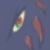 :iconDragonRalith: