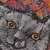 :icondragonrider96: