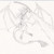 :icondragonsanddragons: