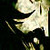 :iconDragonsDwelling: