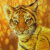 :icondragonslumber: