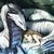 :icondragonsoul109: