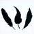 :icondragonsrforever:
