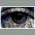 :icondragonstore: