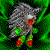 :icondragonthehedgehog1: