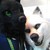 :icondragontu84: