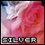 :icondragonz-web: