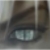 :icondragoon-cheetah:
