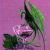 :icondragunceol: