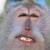 :icondraguneye: