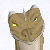:icondraight: