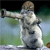 :icondraillig: