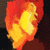 :icondrake-bailey-auir: