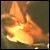 :icondrakexjosh-club: