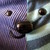 :icondrakinen: