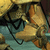 :icondraknek: