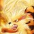 :icondrakoandblazer1561: