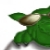 :icondrakokatze: