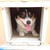 :icondrakowolf1987: