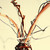 :icondraksoft: