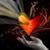 :icondrama-nerd828:
