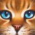 :icondramadrea25: