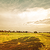 :icondramaticart:
