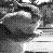 :icondramaticchipmunk2plz: