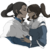:icondramioneislove17: