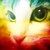 :icondrascherr: