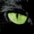 :icondraugwe: