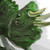 :icondraw1985: