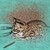 :icondrawablank: