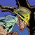 :icondrawallday:
