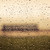 :icondrawberries: