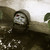 :icondrawingdarwin: