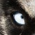 :icondrawingfreak95: