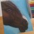 :icondrawingispassion8500: