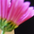 :icondrawingmusicdreamer4: