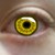 :icondrawingredfury: