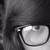 :icondrawingsgaail: