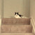 :icondrawntoanother: