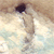 :icondrazahoib: