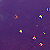 :icondrazen89: