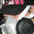 :icondrdo0m: