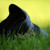 :icondrdreamliner: