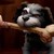 :icondre228: