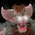 :icondre5000: