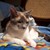 :icondrea-chan1: