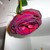 :icondread2bdifferent: